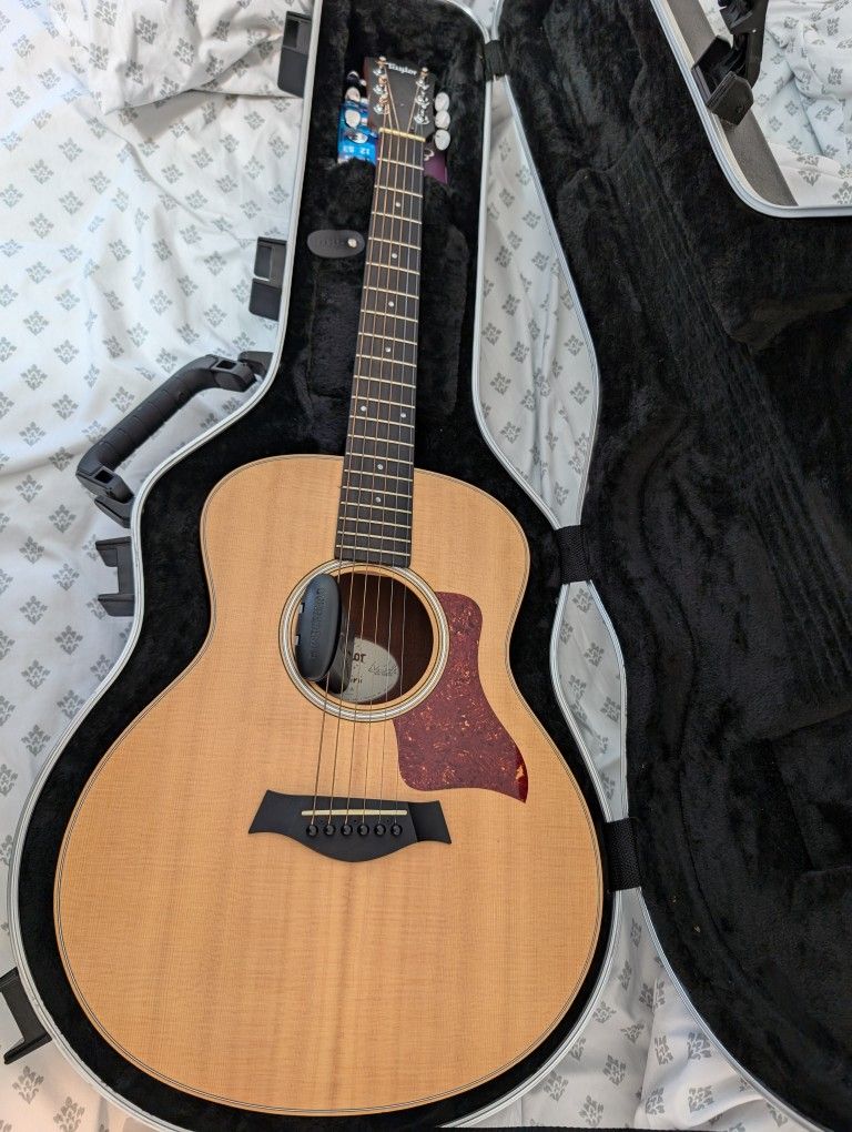 Taylor Gs Mini