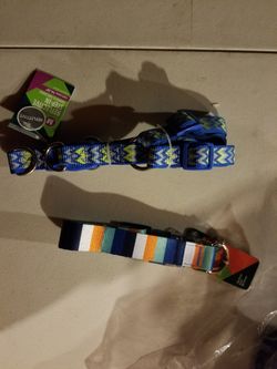 Vest, leash, or dog toys