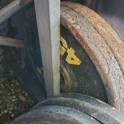 Golds Gym And Sports Authority Barbell Weights.