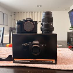 Sony a7IV + Sigma 28-70 F2.8 + Sony TOUGH 160gb 800mb/s