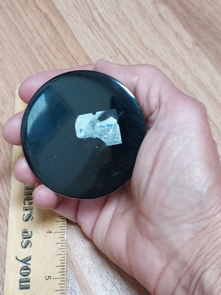 REAL Scorpion Paperweight -plastic