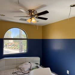 Renovation and Custom Paint ( For Sale) 