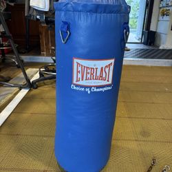 Everlast Heavy Bag - “Choice of Champions” (Punching Bag)