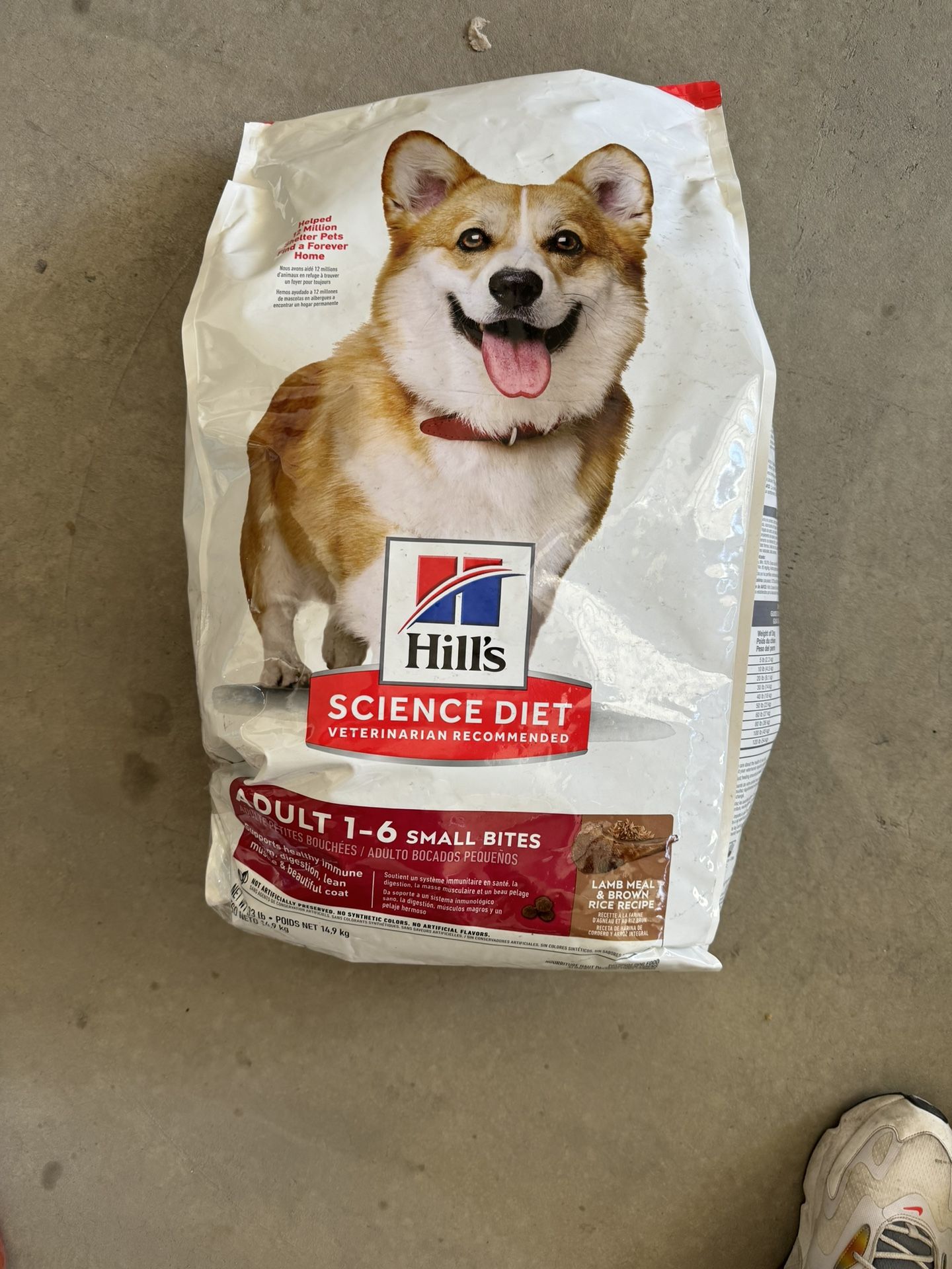 Dog Food 