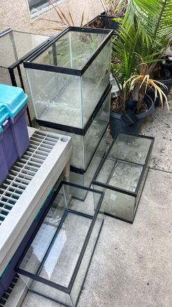 (5) x ten gallon tanks