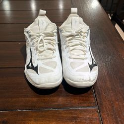 Mizuno Volleyball Shoes 