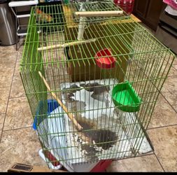 Bird cage