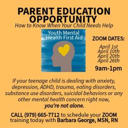 Youth Mental Health Training