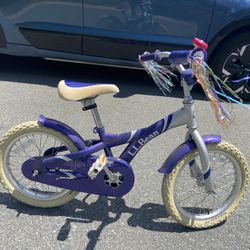 🌈 FOR SALE: L.L. BEAN RIDGE RUNNER 16" – THE ULTIMATE FIRST BIKE! 🌈