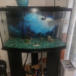 50 Gal Fish Tanks