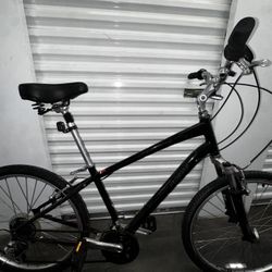 Specialized Expedition cruiser