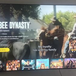 Insignia 55” TV