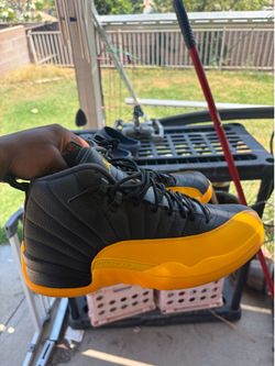 Jordan 12
