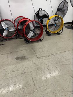 Fans
