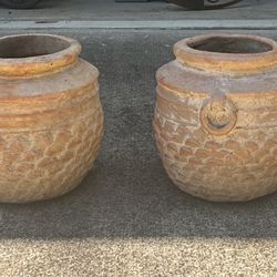 Flower Pots