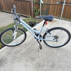 roadmaster 24 inch bike