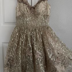 🌸 Quinceañera / Formal Dress for Sale 🌸