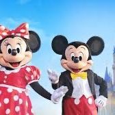 13 Tickets For Any Disney World Theme Park For Sale