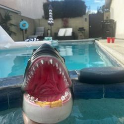 Shark Head Floating For The Swimming Pool or Ponds