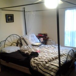 Canopy Bedframe