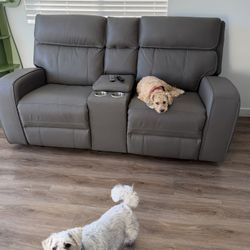 Gray Reclinable Couch - Must Go Today! 