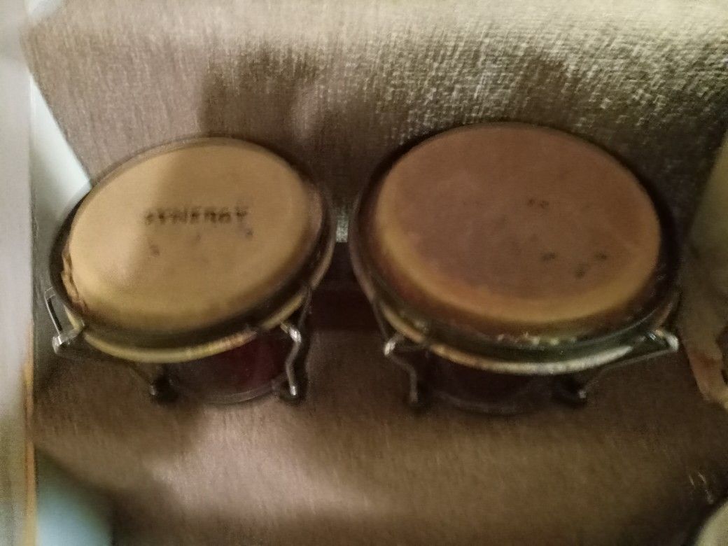 Bongos 