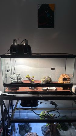 30 gallon reptile tank