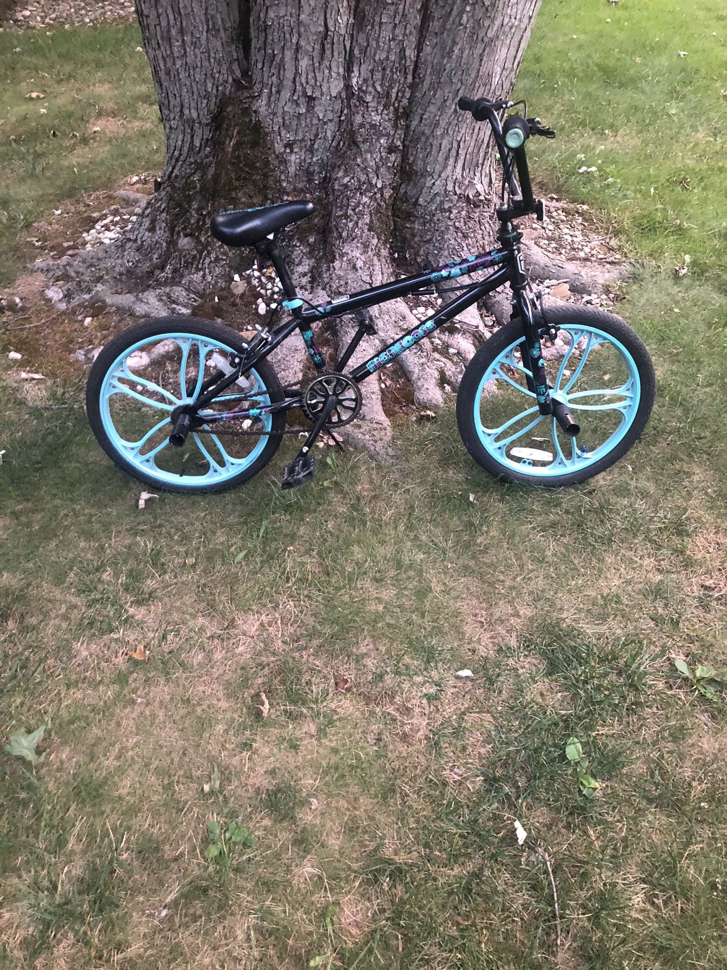 20” Bmx Bike (mag Wheels)
