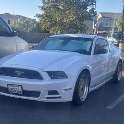 Mustang V6