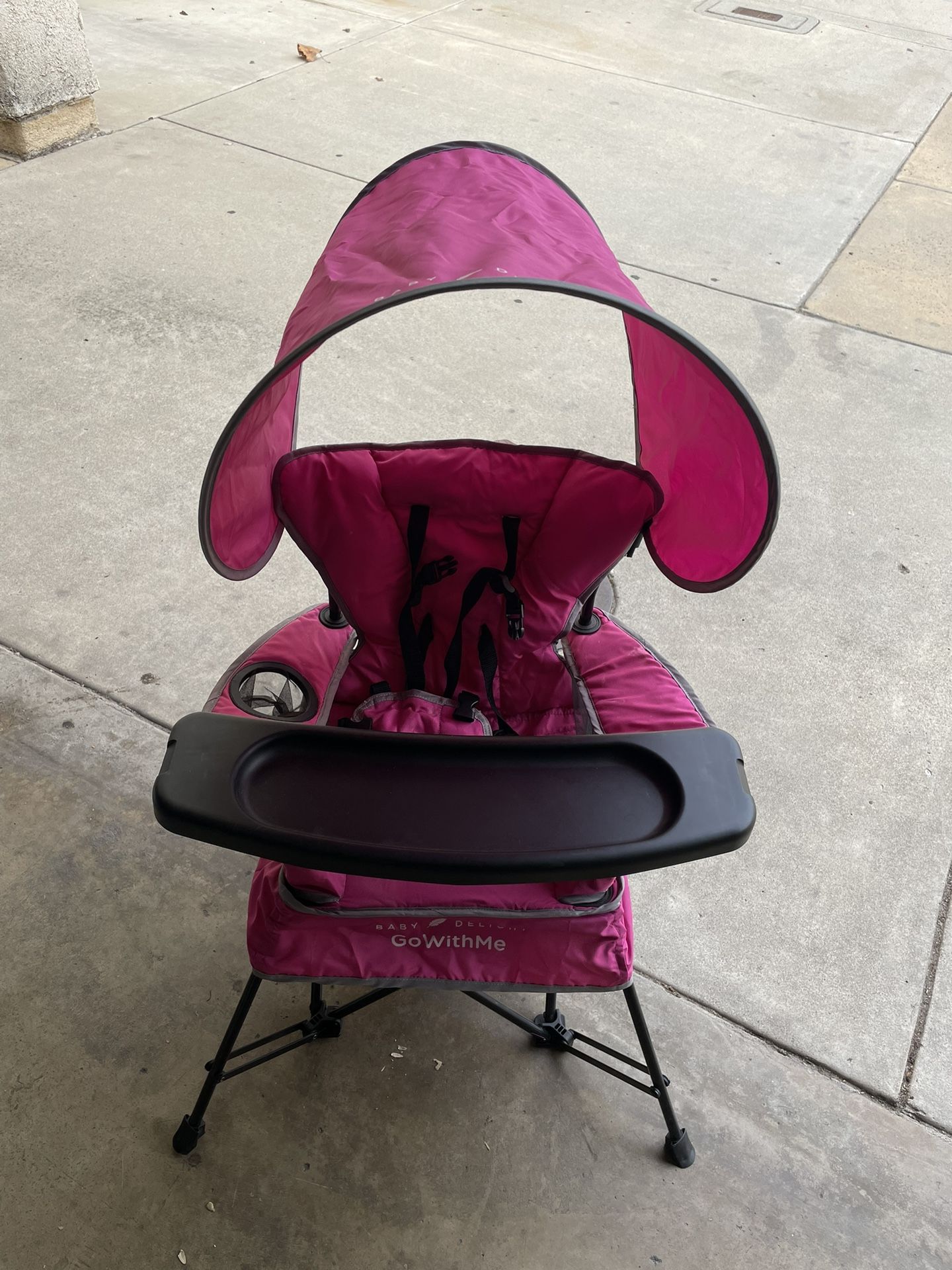 Baby Delight Go With Me Chair