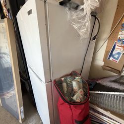 Garage Fridge