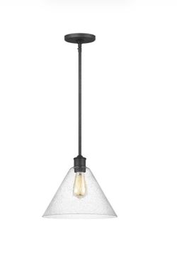2 brand new Ceiling Lamp for  100 compare at Home Depot