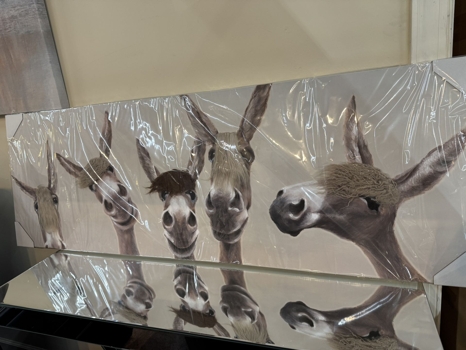 Fuzzy Donkeys Canvas