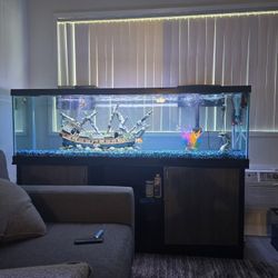 Vendo Pecera De 125 Galones 