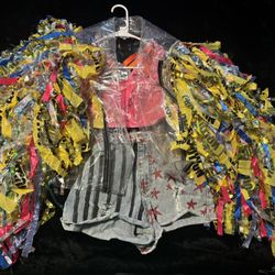 Harley Quinn Costume (Birds Of Prey)