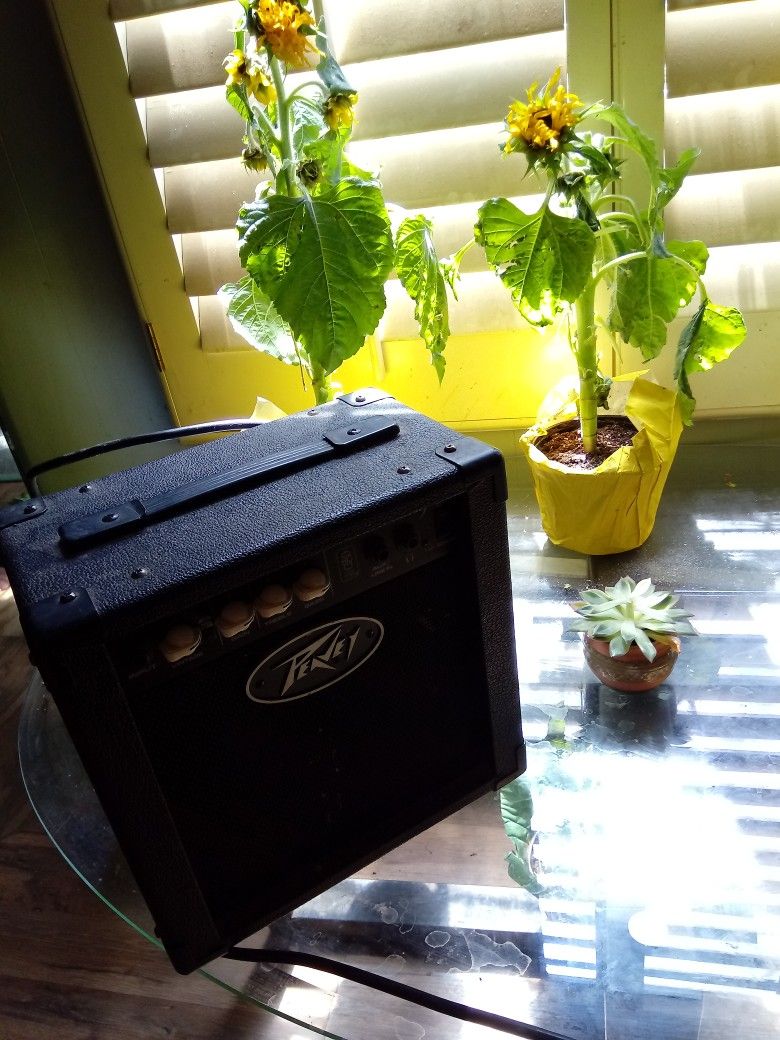 Peavey Speaker for Guitars
