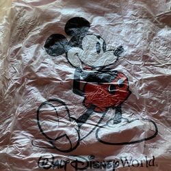 Disney Rain Ponchos