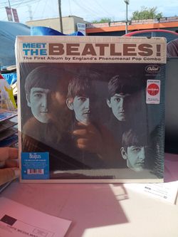 Meet the beetles