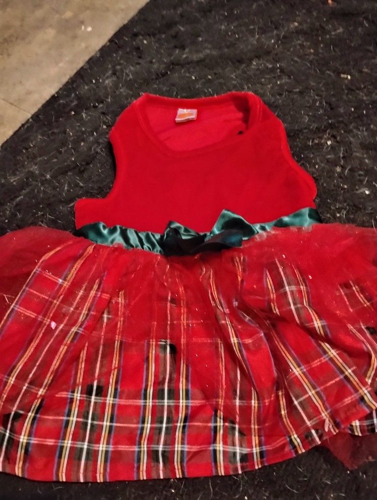 Dress For Small Dog