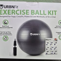 URBNFit 65cm/26 in Red Exercise Ball Kit Yoga CrossFit Pilates Core Workouts Chair
