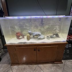 55 Gallon Acrylic Fish Tank 