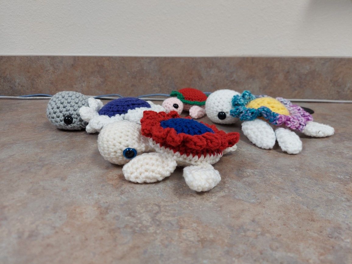 Daisy Turtles