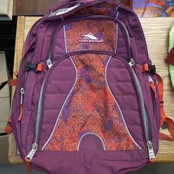 High Sierra Laptop Backpack