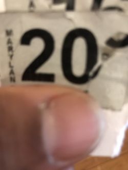 Year sticker $100 bucks