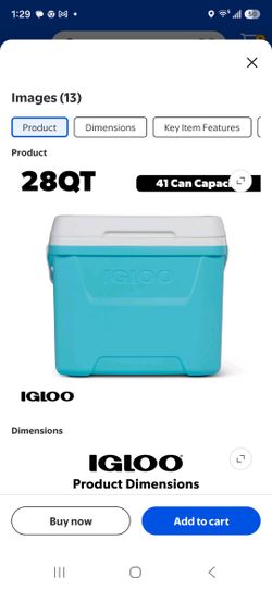 Igloo Cooler