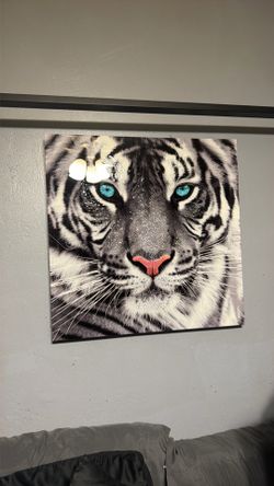 Canvas Wall Art Set 2 piece