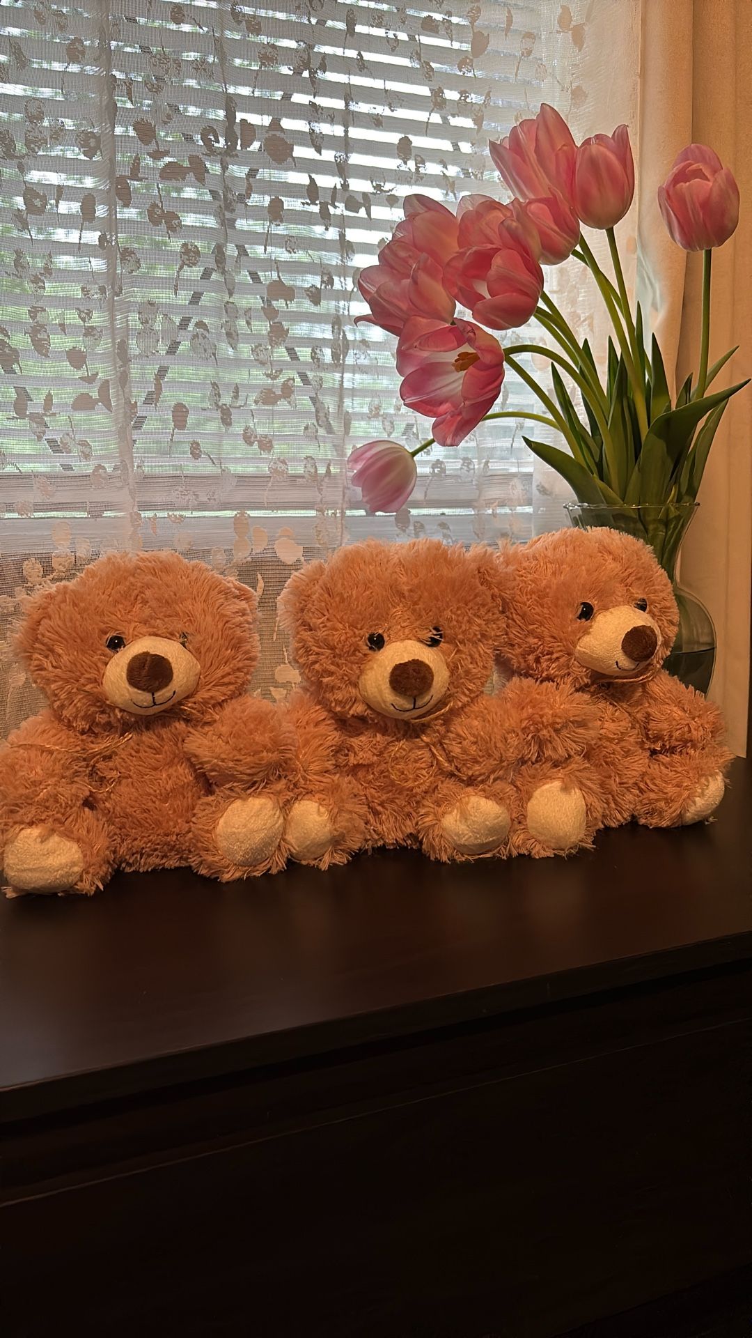 Set of 3 Teddy Bear Stuffed Toy
