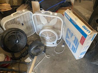 Fans