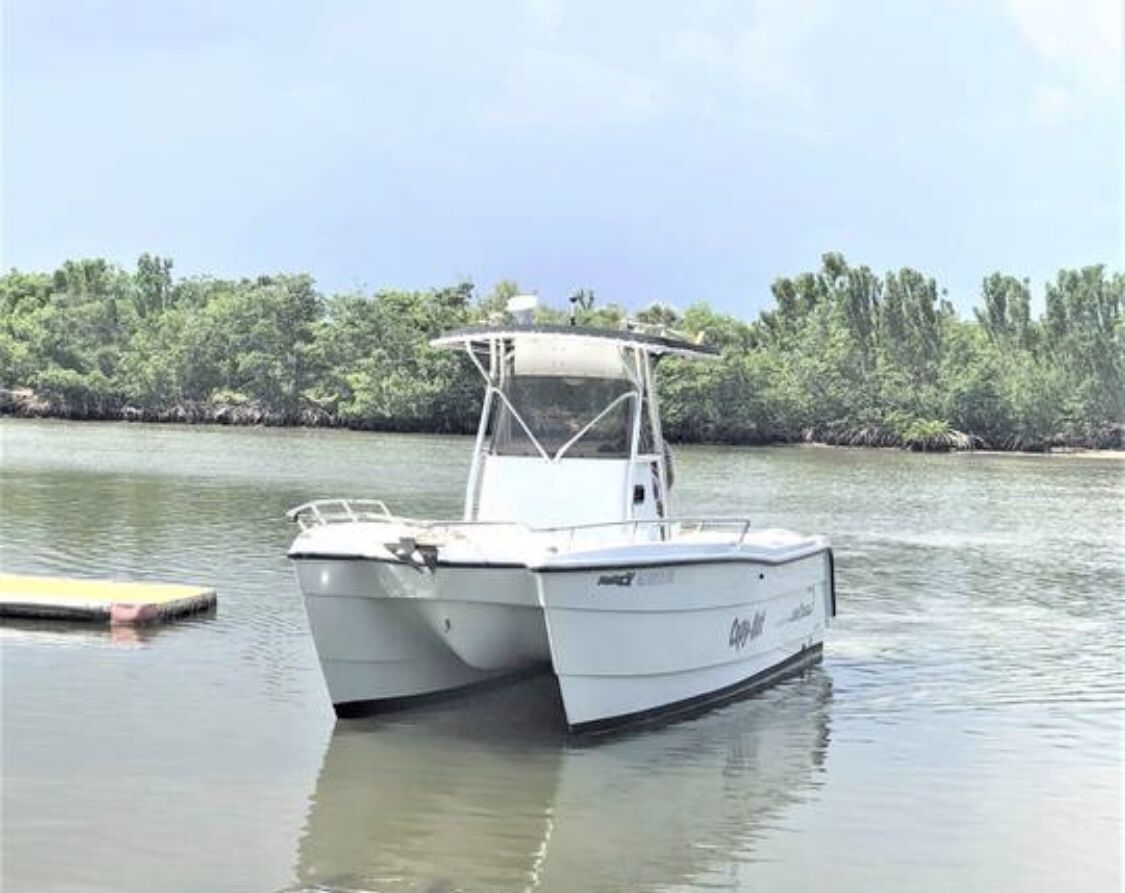 Pro Sport 2200 CC ProKat Catamaran