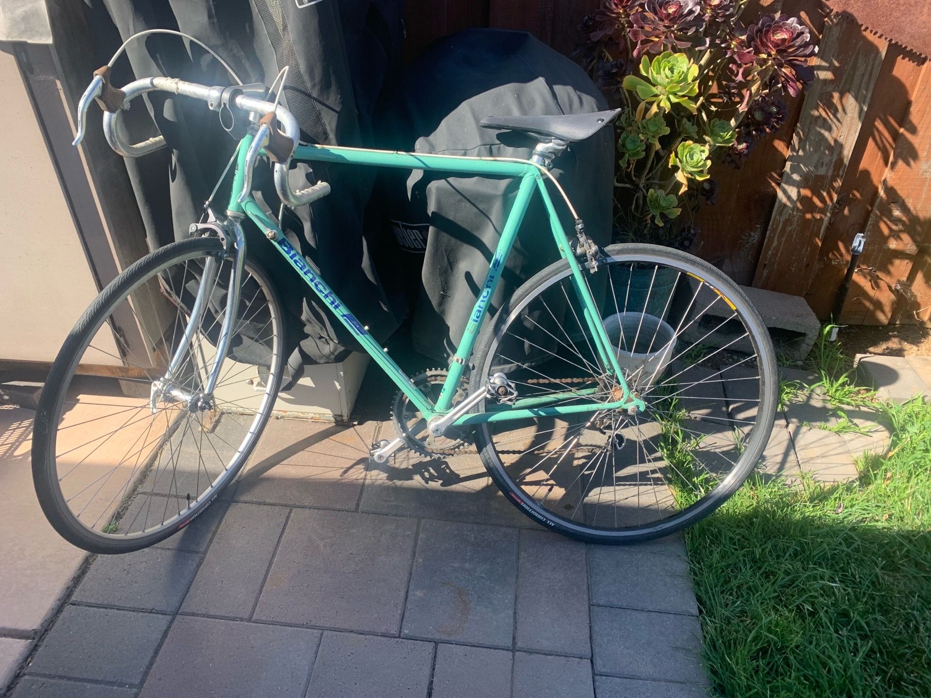 Bianchi Road Bike